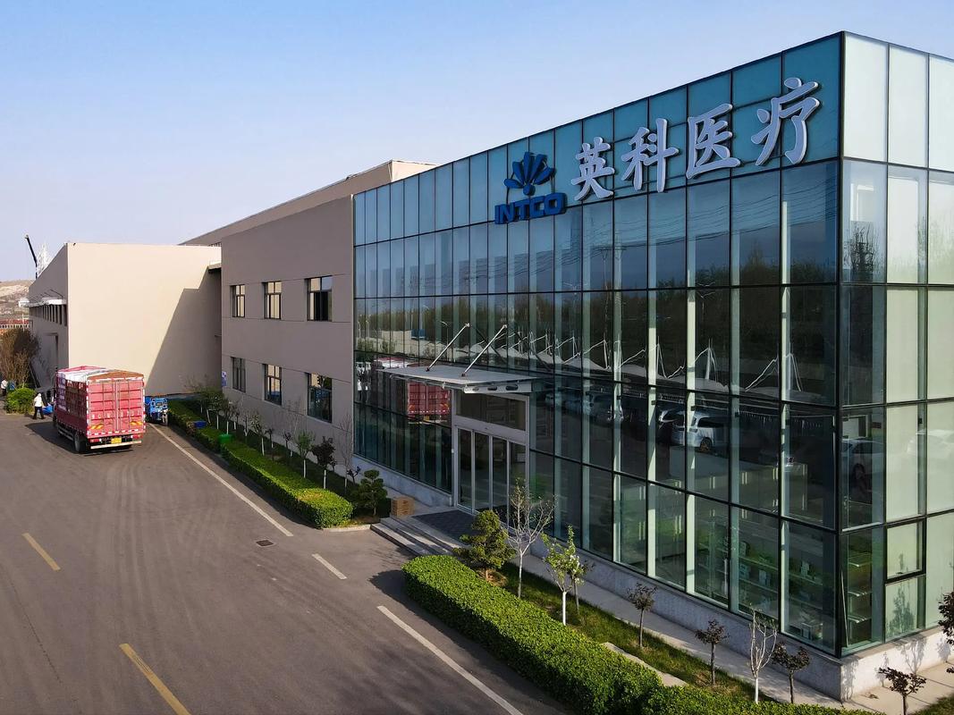 江苏英科医疗安装美高电动提升门插图1